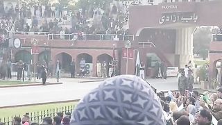 Biggest bull in pakistan 2023