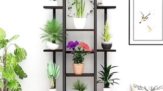 Indoor plant decoration ideas