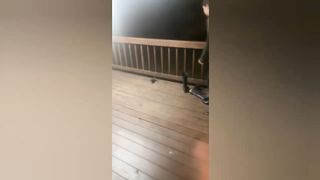 SCARE CAM Priceless Reactions????#142  Impossible Not To Laugh????????
