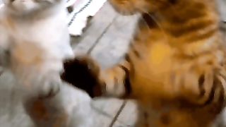 Awesome video ????