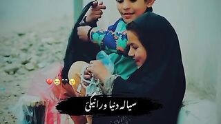 Pashto virel song whatsapp status video