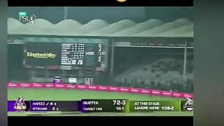Cricket lover