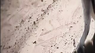 Most brutal animal of jungle