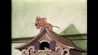 Tom and jerry's Epic New Adventure!