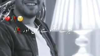 Khushi se Kon Apne mulk se bahir rha he (Tehzeeb hafi)