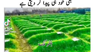 Nake logo par Allah ka karm
