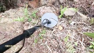 We found the treasure