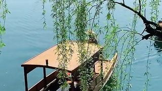 Video beautiful