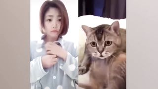 Funniest Animals 2023 Funniest Cats and Dogs