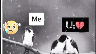 Dil dil