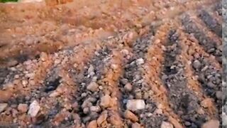 long jump