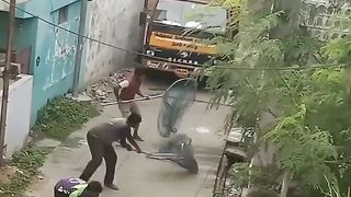 dog catching