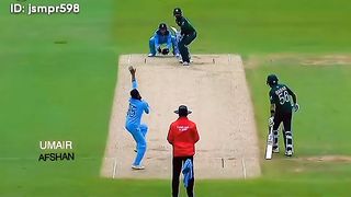 Cricket lover
