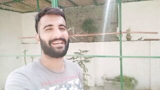 White Male Dove For My Loughing Dove|| Pets Vlog