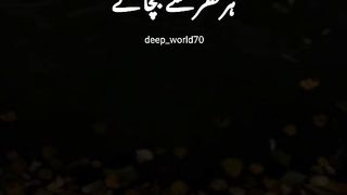 Lovely video/ WhatsApp and Facebook status