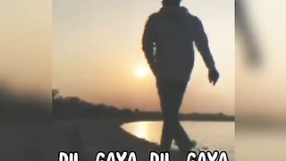 dil gaya dil gaya le gaya saman -
