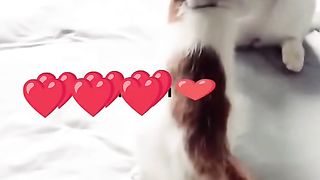 ❤️❤️❤️❤️❤️❤️❤️❤️❤️❤️