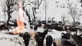_Tirah_valley_Maidan___