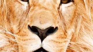Top-Rated Family Adventure Holidays