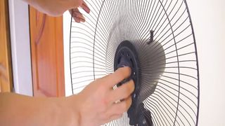 Clean Energy Wind Turbine Generator | Clean Energy Wind Turbine Generator | Wind turbine for home