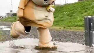 Funny videos