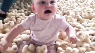 Sweet chicks