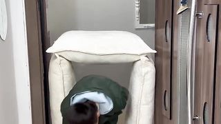 funny videos