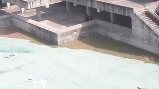 funny video 2023