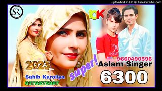 Aslam singer mewati