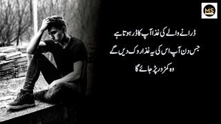 Urdu Quotes || Best Urdu Quotes collection