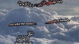 Heart Touching Quran Status || Quran Urdu translation WhatsApp status #tiktok #quran #love