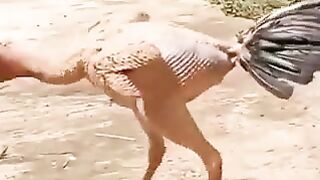 cock for fun