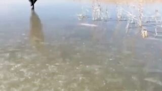 How to get Fish from ice