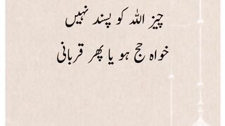 Quotes status|The Door Of Islam