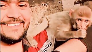 Funny videos 2023 with monkey