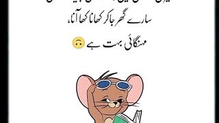 Funny about my shadii
