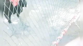 Funny video