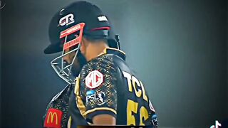 Cricket lovers