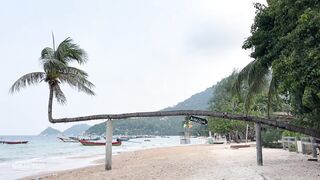 Relaxing in winter with Nature at Seaview