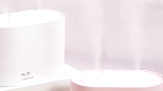 New USB Dual Spray Humidifier For Home Office