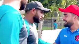 Cricket lover