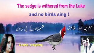 urdu poetry