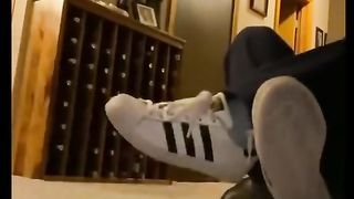 Funny cat video