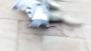 ????????????????????????????????????????????