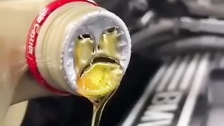 Funny videos
