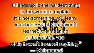 Quotes about friendship