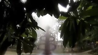 Miyan_Mitthu_parrot_talking_in_sweet_Voice_talking_#parrot_#shorts.