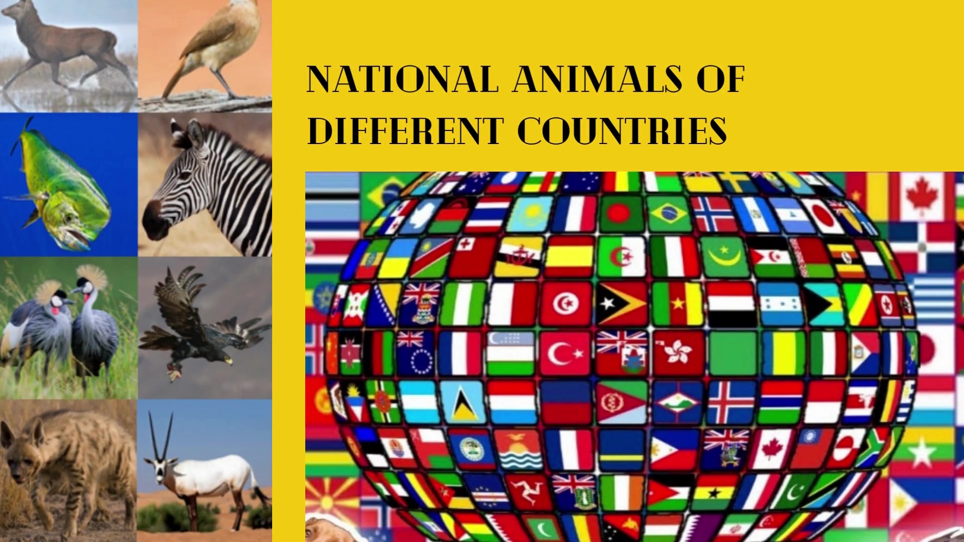 National animals of different Countries.