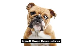 Mens Skincare and Face Wash