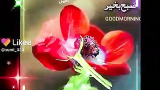 Recite 105